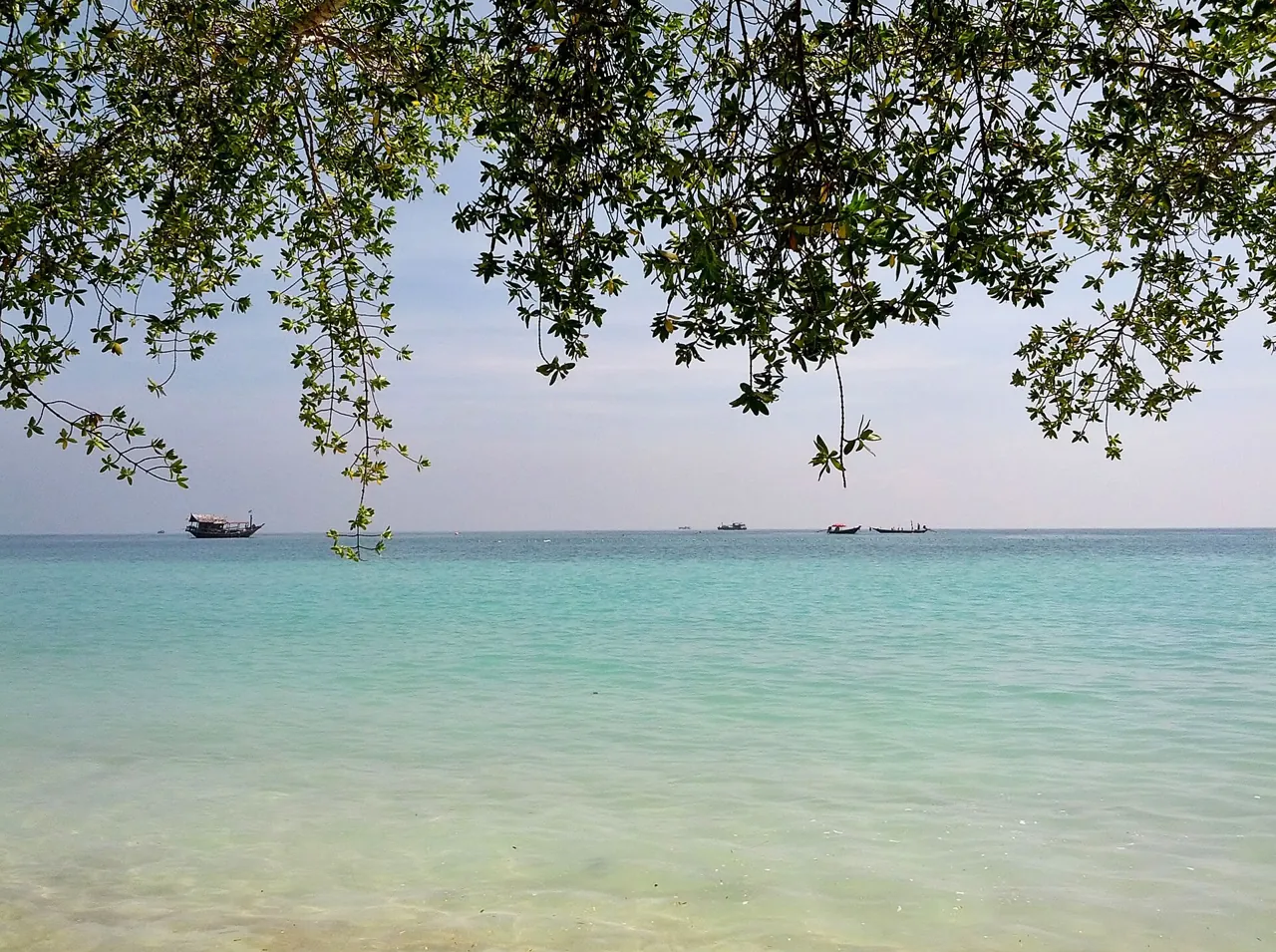 Shark Bay